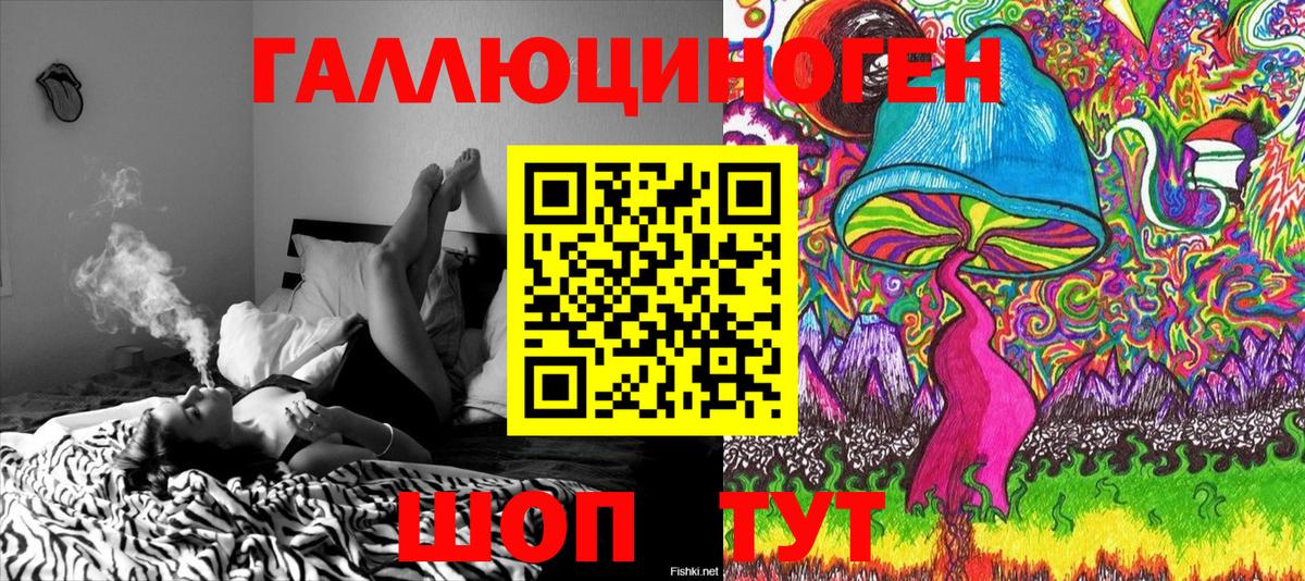 Псилоцибиновые грибы Psilocybe Рассказово