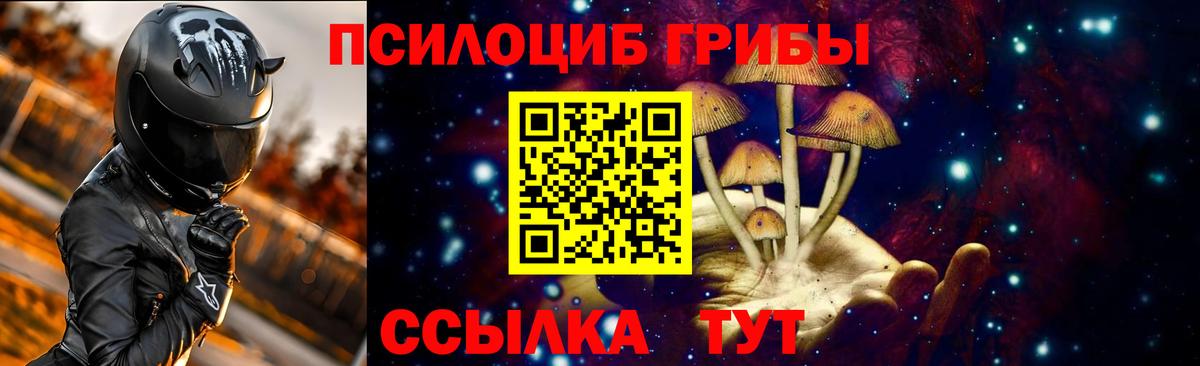 Псилоцибиновые грибы Magic Shrooms  Вход с VPN  Псилоцибиновые грибы прущие грибы  Рассказово 